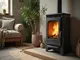 kaminofen-mit-feinstaubfilter-umweltschutz-und-heizkomfort-vereint